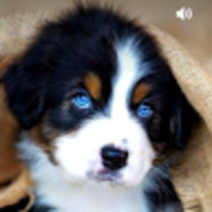 Meet your Posher, Gabriella